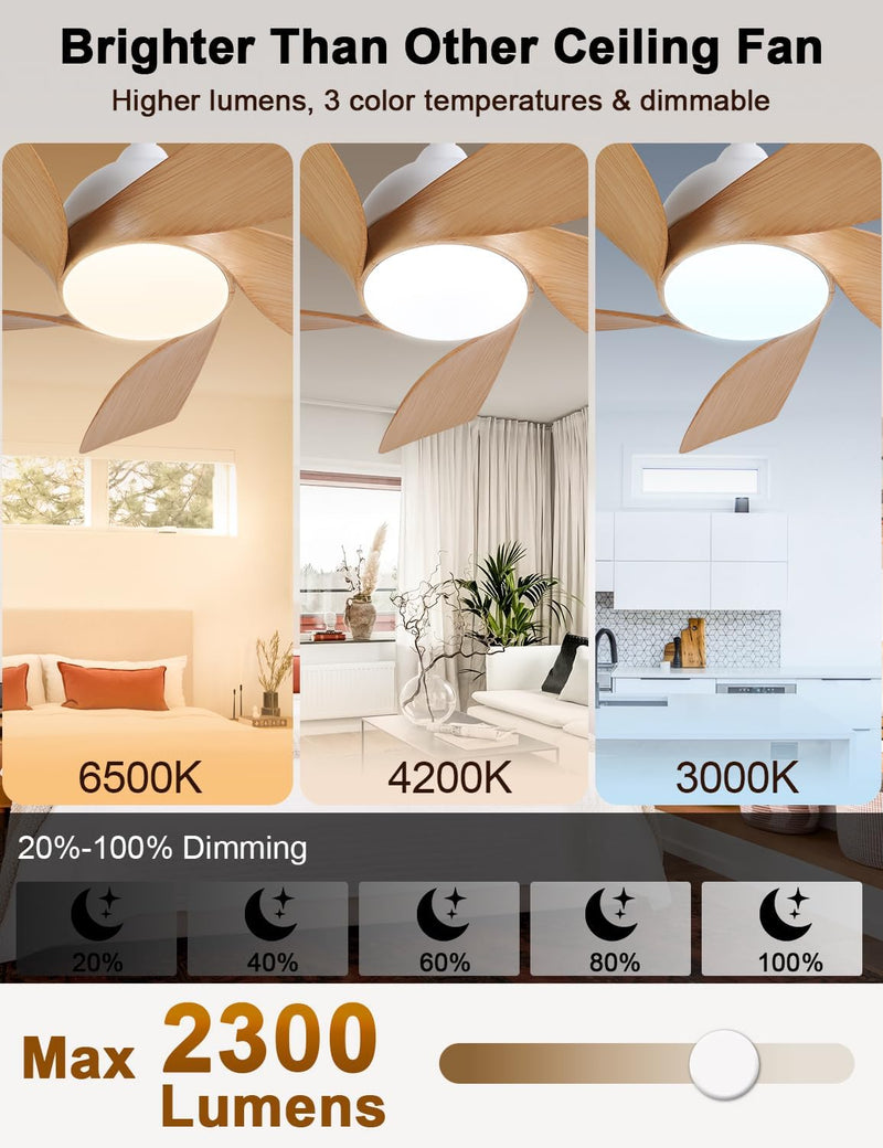 30 Inch Small and Walnut Colour Ceiling Fans