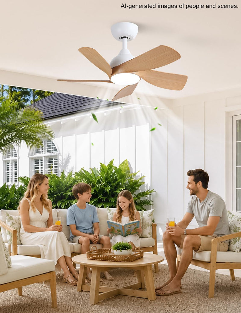 30 Inch Small and Walnut Colour Ceiling Fans