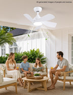 30 Inch Small and Walnut Colour Ceiling Fans