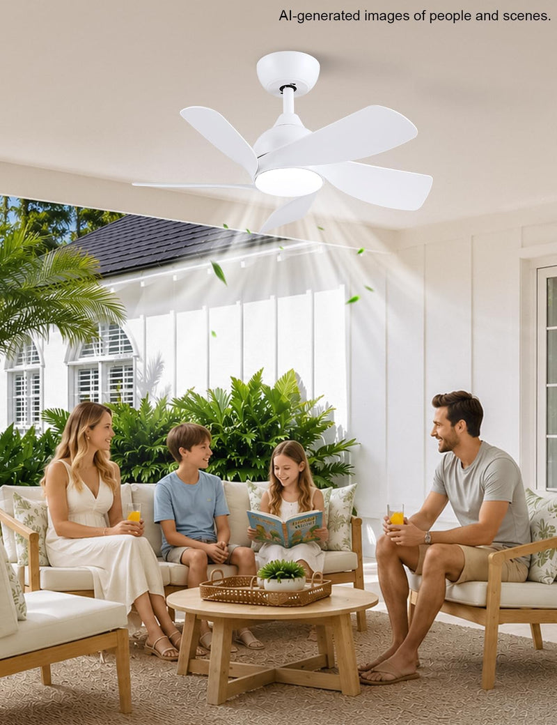 30 Inch Small and Walnut Colour Ceiling Fans