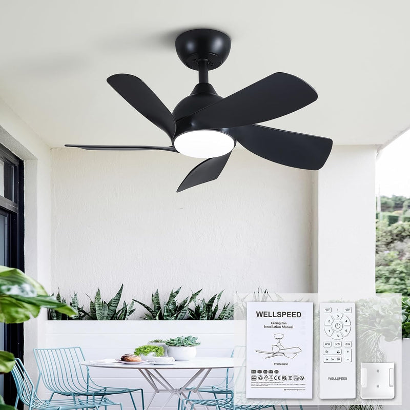 30 Inch Small and Walnut Colour Ceiling Fans