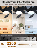 30 Inch Small and Walnut Colour Ceiling Fans