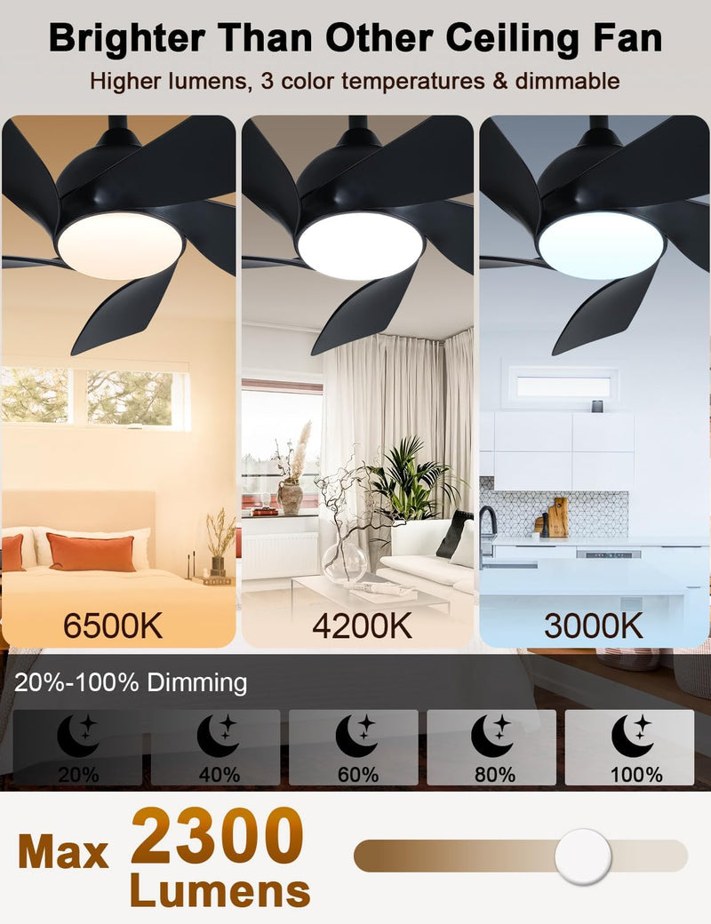 30 Inch Small and Walnut Colour Ceiling Fans