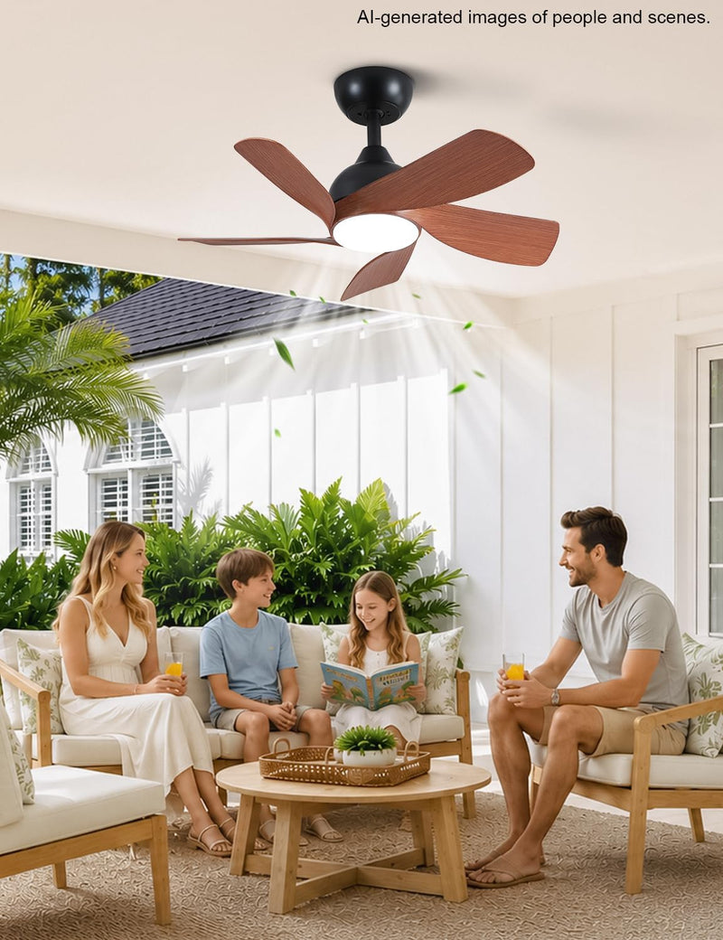 30 Inch Small and Walnut Colour Ceiling Fans