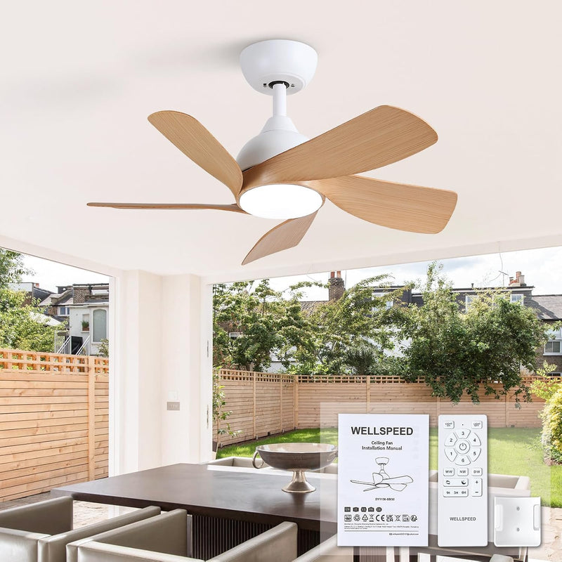 30 Inch Small and Walnut Colour Ceiling Fans