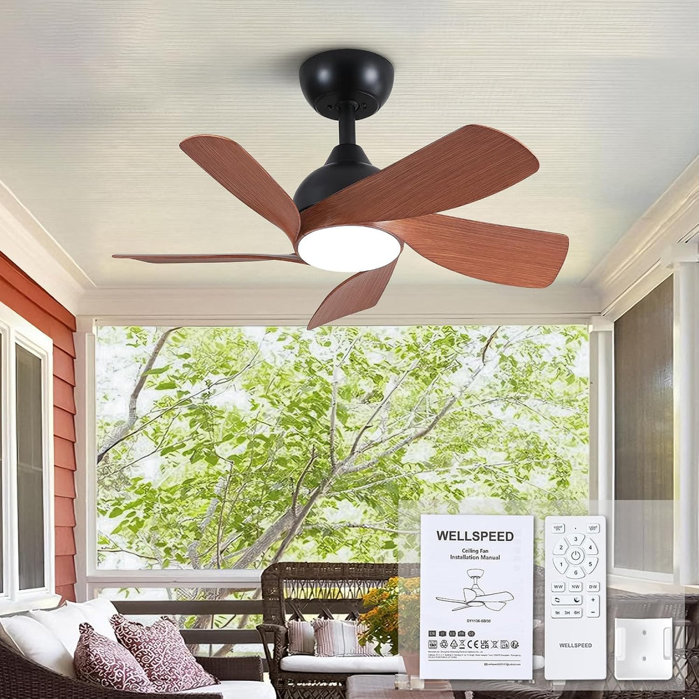 30 Inch Small and Walnut Colour Ceiling Fans
