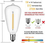 30m Festoon Lights
