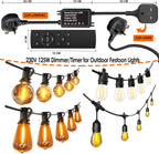 30m Festoon Lights