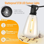 30m Festoon Lights