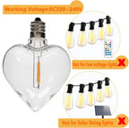 30m Festoon Lights