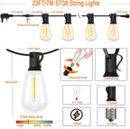 30m Festoon Lights