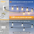 30m Festoon Lights