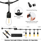 30m Festoon Lights