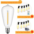 30m Festoon Lights