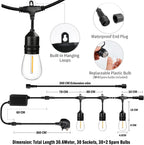 30m Festoon Lights