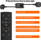 30m Festoon Lights