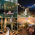 30m Festoon Lights