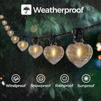 30m Festoon Lights