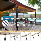 30m Festoon Lights