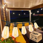 30m Festoon Lights