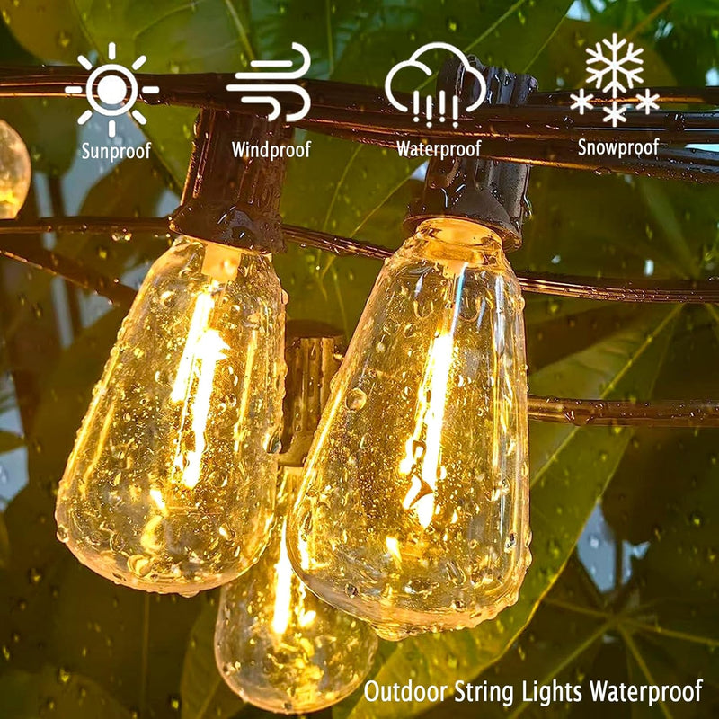 30m Festoon Lights Outdoor with Dimmerremote 32 LED