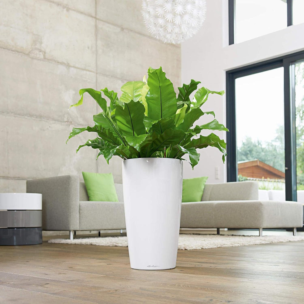 Rondo 32 Self Watering Planter Large Plastic