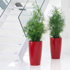 32 Self Watering Planter Large Plastic