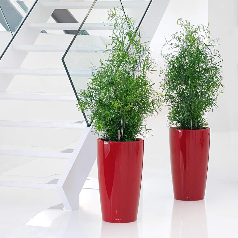 Rondo 32 Self Watering Planter Large Plastic (1 Pack)