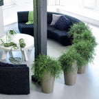 32 Self Watering Planter Large Plastic