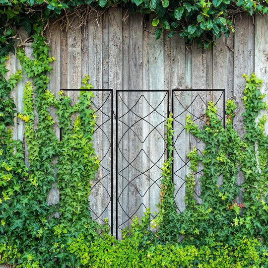 3x Garden Trellises for Plugging Creeper Climbing Plants