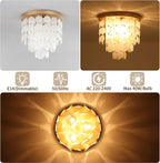 4-Light Crystal Chandeliers Ceiling Lights Living Room
