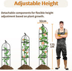 4 Pcs 175CM Obelisk Trellis for Climbing Plants
