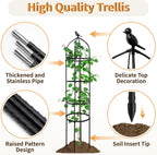 4 Pcs 175CM Obelisk Trellis for Climbing Plants