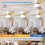 40" Ceiling Fans with Lights and Remote 6