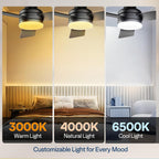 42" Ceiling Fans with Lights Remote Flush Mount