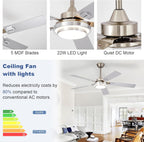 42-Inch Ceiling Fan with Light: Brushed Nickel Fans