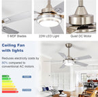42-Inch Ceiling Fan with Light: Brushed Nickel Fans