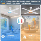 48 Inch Ceiling Fans with Lights Fan Remote