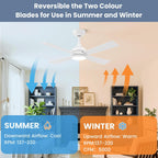 48 Inch Ceiling Fans with Lights Fan Remote