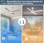 48 Inch Ceiling Fans with Lights Fan Remote