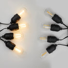 20 Bulbs - Included