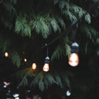 20 Bulbs - Not Included