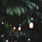 4lite Festoon