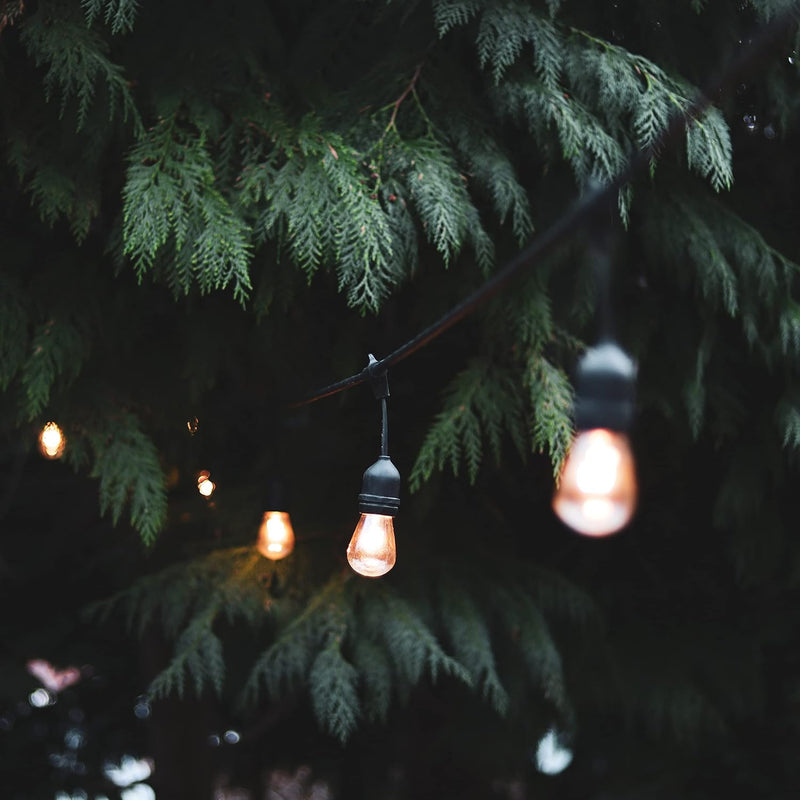Festoon Outdoor String Lighting 20m Globe Lights