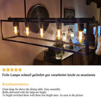 5-Light Brushed Nickel Chandelier with Shade 26" Rustic