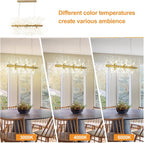5-Light Brushed Nickel Chandelier with Shade 26" Rustic