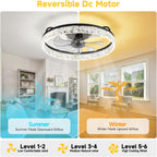 50CM Ceiling Fans with Lights and Remote 6