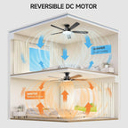 52 Inch Ceiling Fan Lights with Remote Control