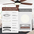 52 Inch Modern Ceiling Fans with Lights