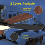 52 Inch Modern Ceiling Fans with Lights
